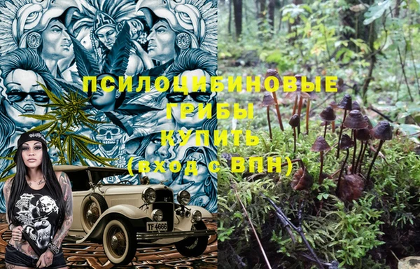 ALPHA PVP Нязепетровск