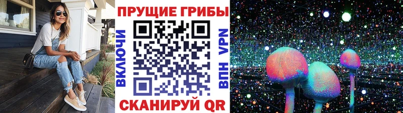 как найти закладки  Артёмовский  Псилоцибиновые грибы MAGIC MUSHROOMS 